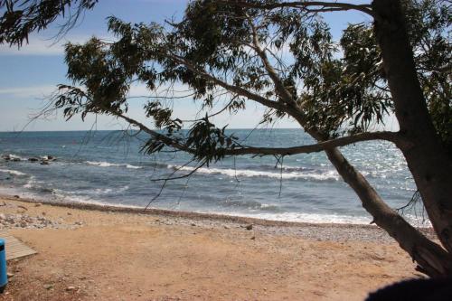 Příroda nedaleko prázdninového domu