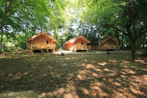 three log homes in a field with trees at Chambres d'hôtes La Gargaille in Alièze