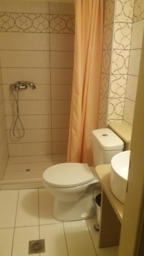a bathroom with a toilet and a shower and a sink at Eleni Studios in Agios Nikolaos
