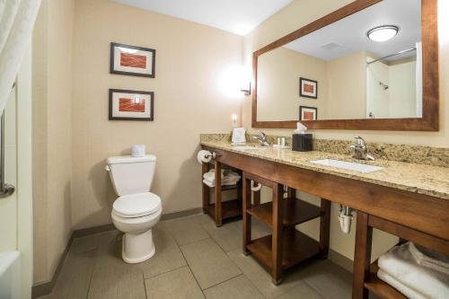 a bathroom with a toilet and a sink and a mirror at Comfort Suites Moab near Arches National Park in Moab