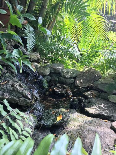 Giardino di Douglas House