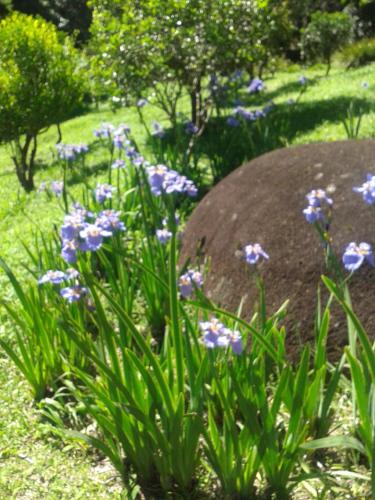 Taman di luar Pousada Recanto Águas Vivas
