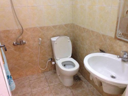 a bathroom with a toilet and a sink at Sakkara Inn in Cairo