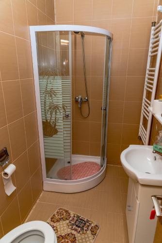 a bathroom with a shower with a toilet and a sink at Noring Guest House in Lupeni