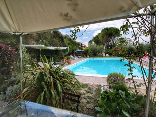 Attractive apartment in Bettona with swimming pool
