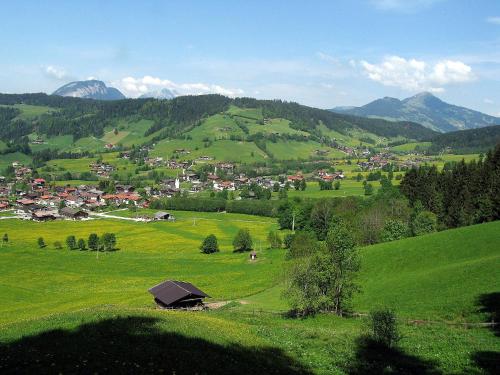 a small town in a green field with mountains at Appartement Alpenhof Wildschönau in Niederau