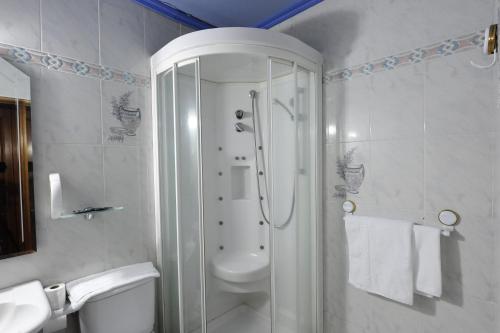 a bathroom with a shower and a toilet and a sink at Hotel Rural Bereau in Lesaka