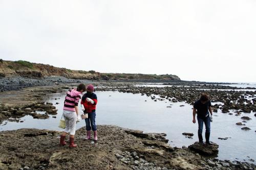a group of people standing on a rocky beach at The Domed Tile B&B in Magong