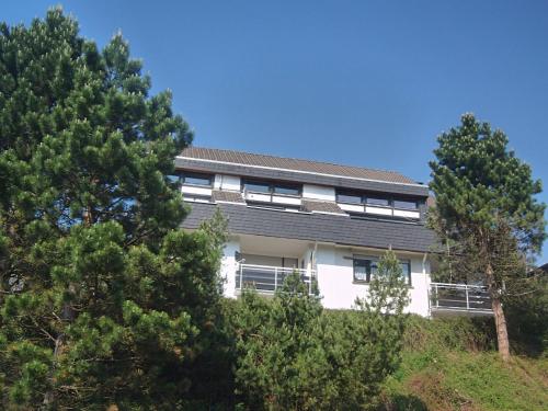 a building on top of a hill with trees at Spacious Apartment in Niedersfeld near Lake in Winterberg