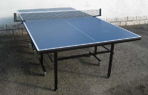 a blue ping pong table sitting on the ground at Agriturismo La Dimora Del Contadino in Mondovì