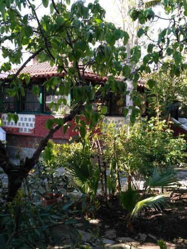 Gambar di galeri bagi 9 Musses Hotel Apartments di Skala Mistegnon