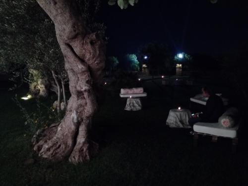 Κήπος έξω από το Agriturismo Masseria Alberotanza