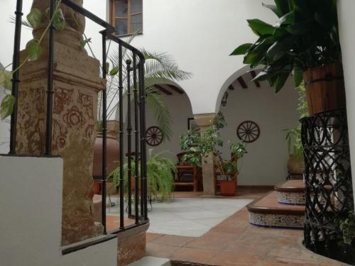 une cour avec des plantes et un portail en fer dans l'établissement Casa Maika, à Montoro