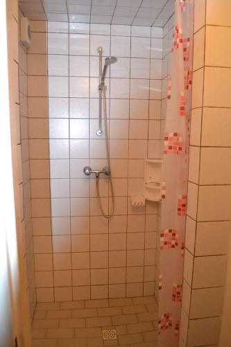 a bathroom with a shower with a shower curtain at Penzion Hainiš in Janske Lazne