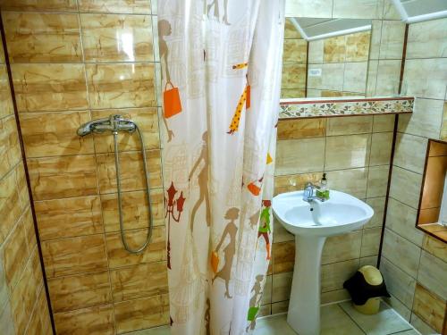 a bathroom with a sink and a shower at Teo Guest Rooms in Baile Felix