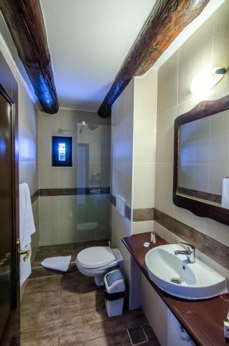 a bathroom with a toilet and a sink at Resort Cheile Gradistei Moieciu in Moieciu de Sus