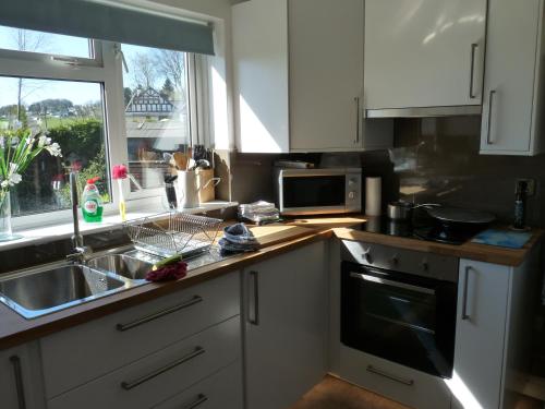 a kitchen with a sink and a microwave at Cosy Twin Room in Brecon in Brecon