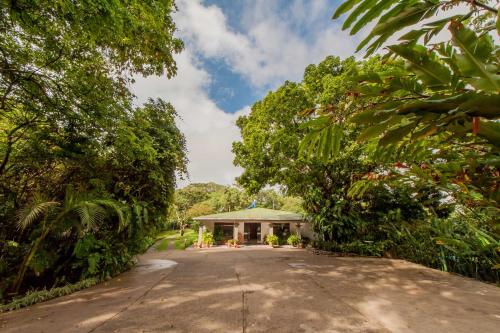 Cabañas Valle Campanas - Monteverde, Costa Ricaにある庭