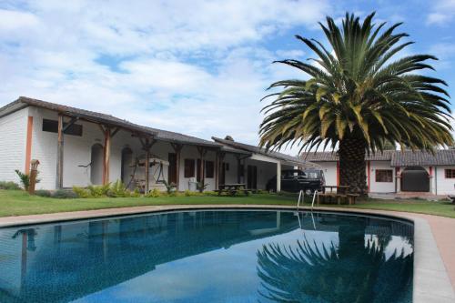 a house with a palm tree and a swimming pool at Hosteria San Carlos Tababela in Tababela