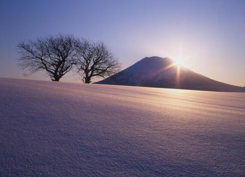 a snow covered field with a mountain and two trees at Niseko Prince Hotel Hirafutei in Kutchan