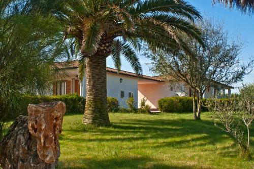 a palm tree in the yard of a house at Agriturismo Sa Suerera in Olmedo