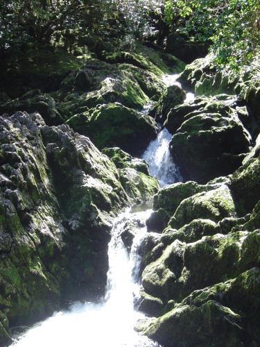 a stream of water flowing through some rocks at Eden's Edge Lodge in Motueka