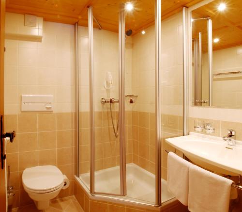 a bathroom with a shower and a toilet and a sink at Pension Alpenfluh in Lech am Arlberg