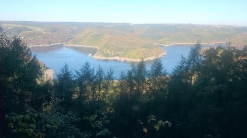 a view of a river with trees and hills at Fewo Zum Sonnenschein in Simmerath