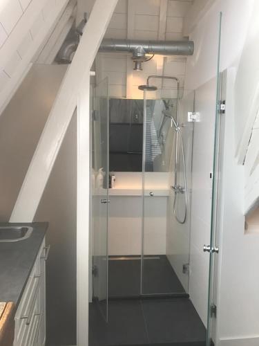 Bilik mandi di NR22 Leiden