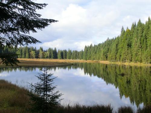 a lake in the middle of a forest at Pension Arberwald in Bayerisch Eisenstein