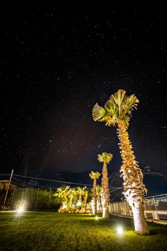two palm trees in a yard at night at La Blanca Resort & Spa in Castellammare del Golfo