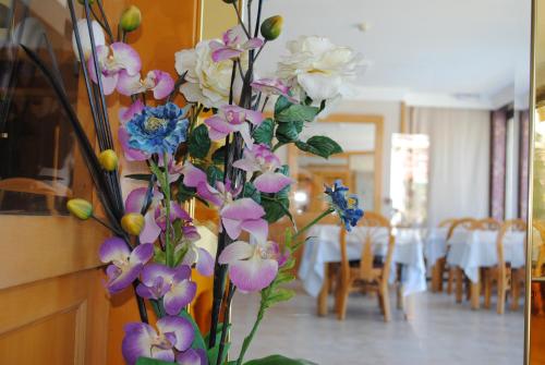 Nhà hàng/khu ăn uống khác tại Hotel Bonsol ADULTS ONLY