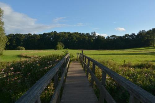 a wooden boardwalk leading to a field with flowers at Aparthotel Ons Epen in Epen
