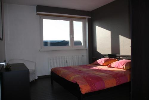 a bedroom with a bed with pink pillows and a window at L'Appartement de l'Observatoire in Strasbourg