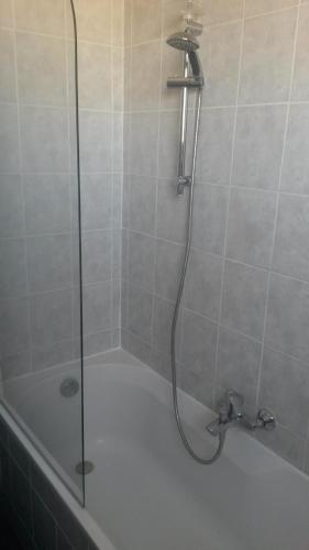a shower with a glass door in a bathroom at L'Appartement de l'Observatoire in Strasbourg