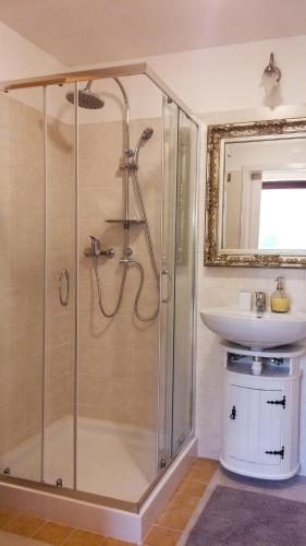a bathroom with a shower and a sink at Apartment Tina Istra in Buje