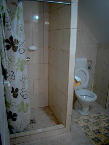 a bathroom with a toilet and a shower stall at Tornácos Vendégház in Vlăhiţa