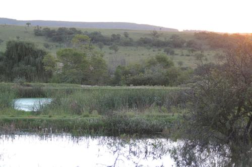 a large body of water with trees and grass at Country Park Guest House - Muldersdrift in Muldersdrift