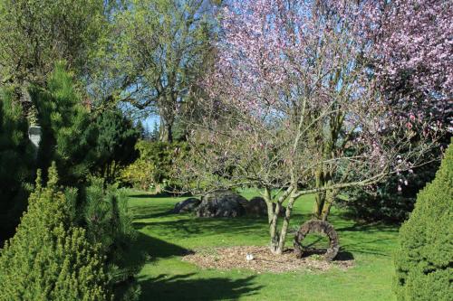 a garden with a tree in the middle of a field at Ferienwohnung SEA in Vogelsang