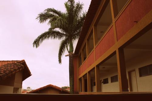 a palm tree in front of a building at Café Palace Hotel in Três Pontas