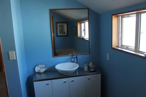 niebieska łazienka z umywalką i lustrem w obiekcie Aroha Riccarton Bed and Breakfast w mieście Christchurch
