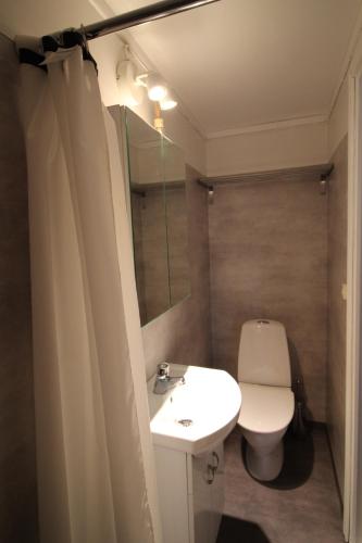 a bathroom with a toilet and a sink and a mirror at Lövås Gård Koppera in Charlottenberg