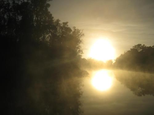a misty sunrise over a lake with the sun in the background at Cadell On The Murray Motel in Moama