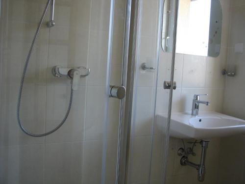 a bathroom with a shower and a sink at Piligrimo Užeiga in Kadarės