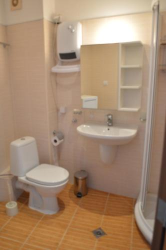 ボロヴェッツにあるGITEA Semiramida Apartmentsのバスルーム(トイレ、洗面台付)