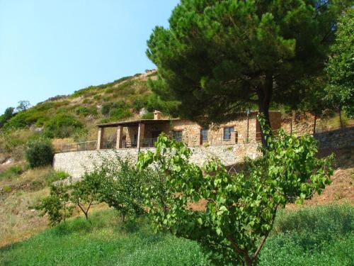 une maison au sommet d'une colline avec un arbre dans l'établissement Belvilla by OYO Tuono, à Cetraro