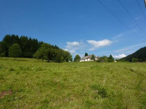 a green field with a house in the distance at Charming holiday home near the ski slopes in Vagney
