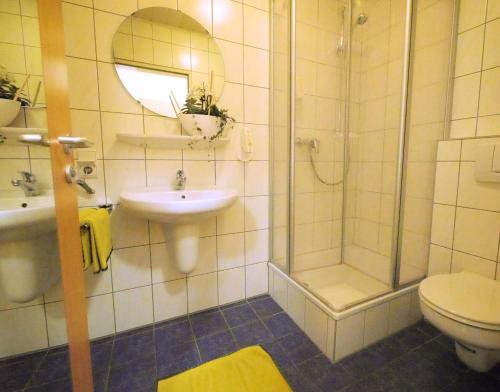 a bathroom with a shower and a sink and a toilet at Boardinghaus Hähn in Koblenz