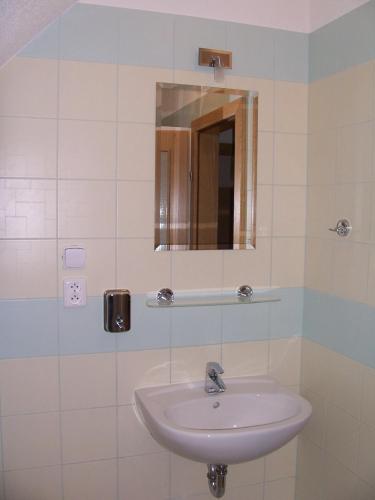 a bathroom with a sink and a mirror at Penzion Chanos in Stříbro