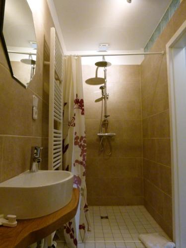 ein Bad mit einem Waschbecken und einer Dusche in der Unterkunft Ferienwohnung Garten Eben in Rullstorf